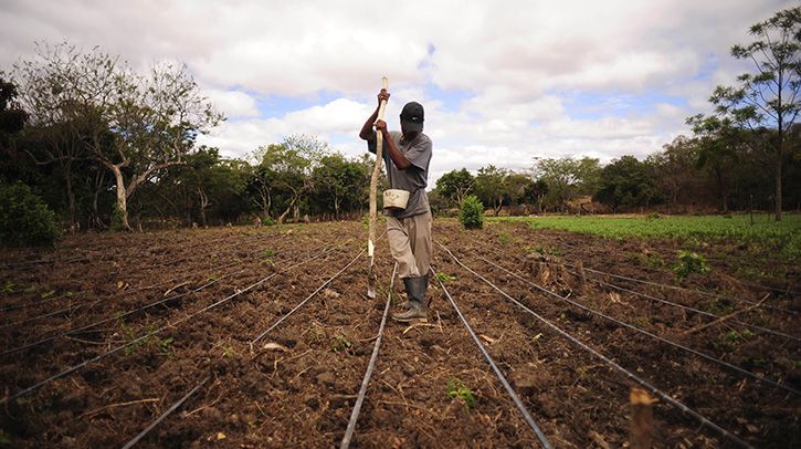 Working Together in Response to This Year's Not So Little 'El Nino ...