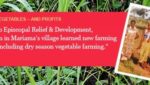 Growing Vegetables — and Profits