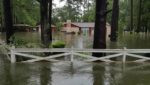 Hurricane Harvey 2017: What can I do to help?