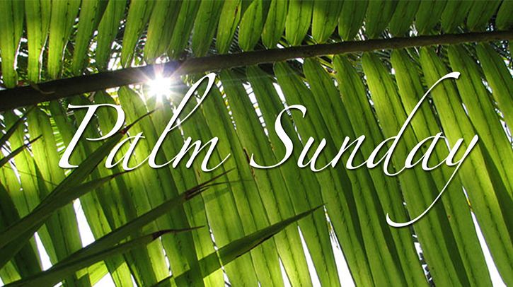 Palm Sunday: A Crime of Passion - Episcopal Relief ...