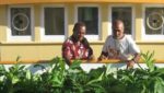 The Salination Solution: Atoll Permaculture