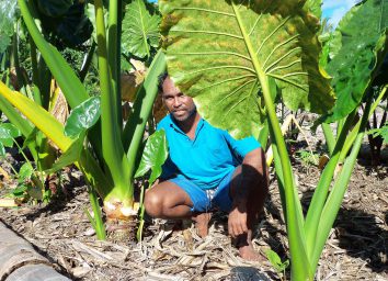 Melanesia