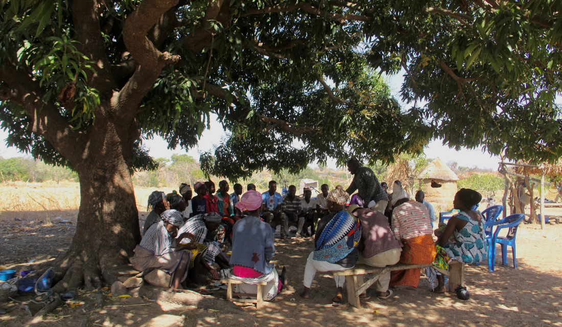 Under the Mango Tree: A Savings Group is Born
