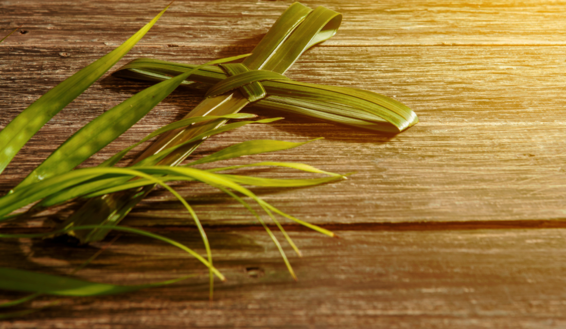 Palm Sunday: Our Hope Is For Nothing Less Than Life Itself - Episcopal  Relief & Development