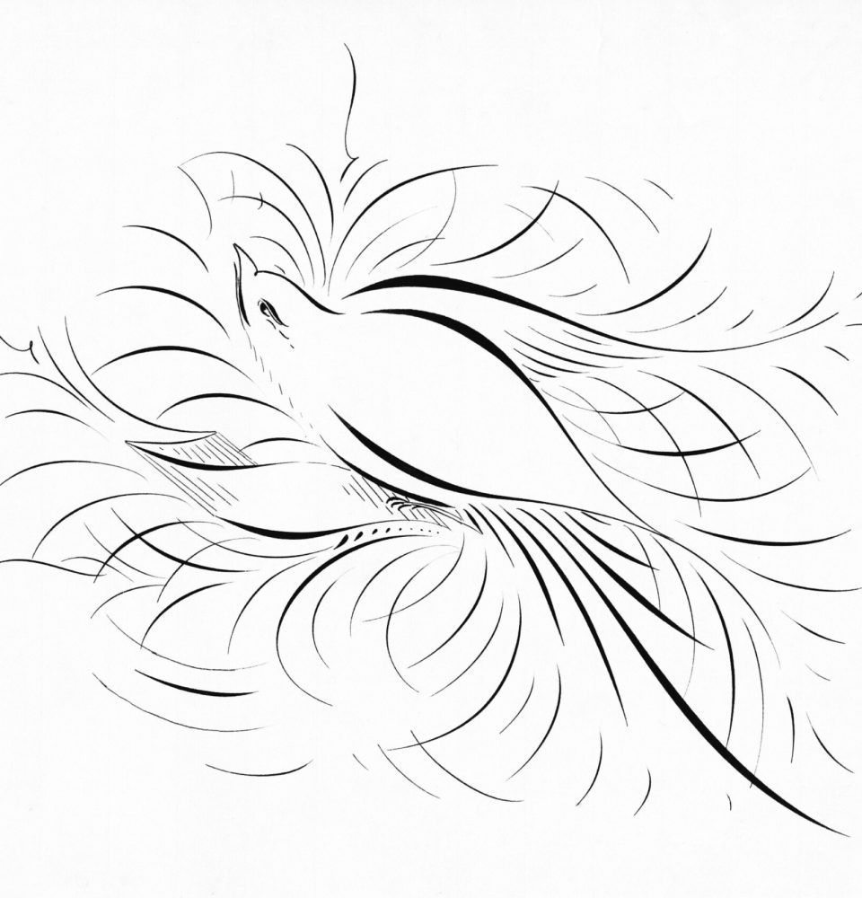 decorative image