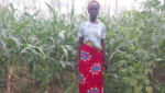 Improving Farming Conditions for Women in Ghana