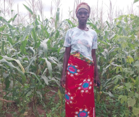 Improving Farming Conditions for Women in Ghana