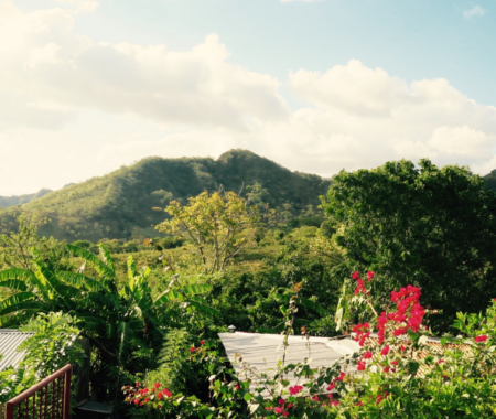 How Climate-Smart Farming Innovations Address Food Insecurity in Nicaragua