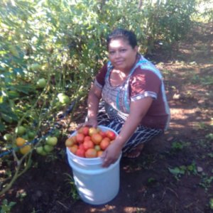 Santos and her tomatoes.