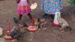 Helping Families Flourish Through Moments That Matter®