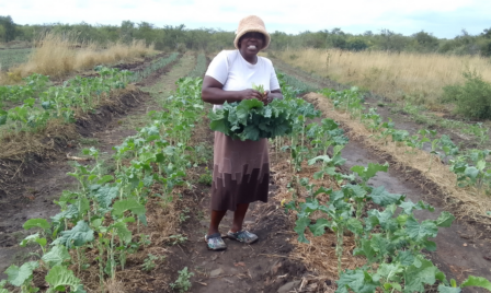 In Zimbabwe, Access to Water Creates Opportunities