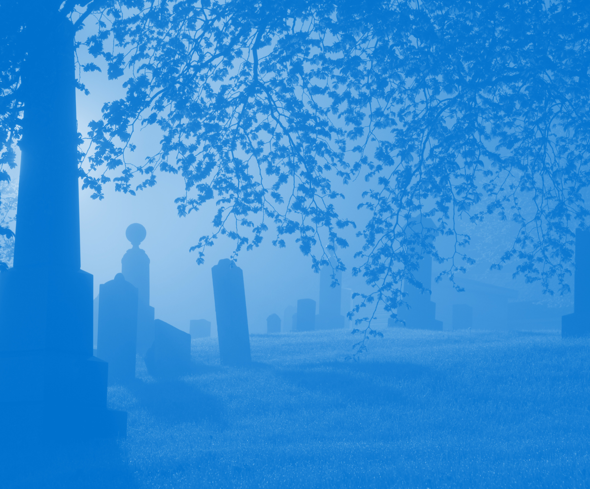 decorative image