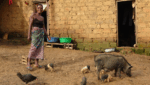 An Investment in Rural Women is an Investment in Long-Term Resilience