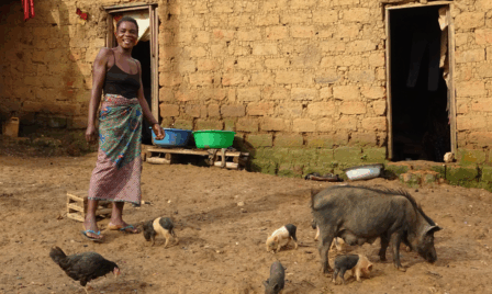 An Investment in Rural Women is an Investment in Long-Term Resilience