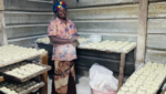 From Subsistence to Entrepreneurship in Angola