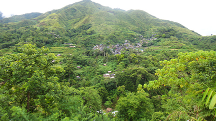 Philippines, carbon offset