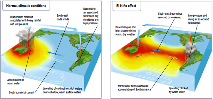 El Nino Diagram