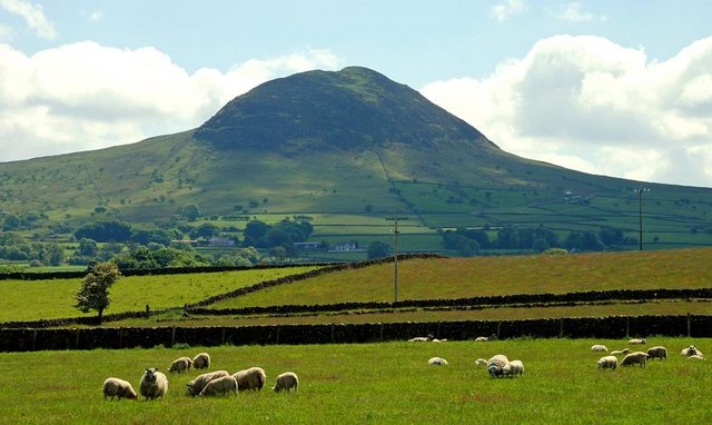 Slemish Antrim Ireland Sheep Saint Patrick