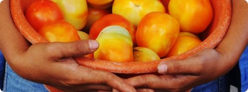 alleviating-hunger